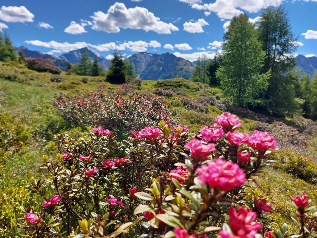 Haus Edelweiss Spiss Bei Samnaun Exteriér fotografie